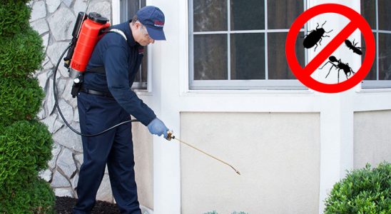Tercan Gümüşkurt İlaçlama böcek ilaçlama ve haşere kontrolü — ilaclama-tr.com